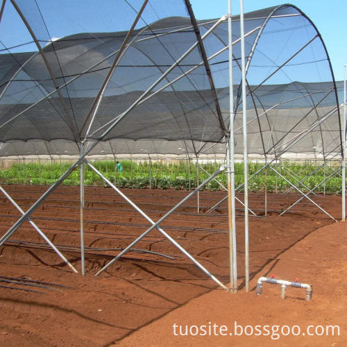 Outdoor Sun Shade Hdpe Net Orchard Cover Shading 40% Rate Mono Breathable Mesh Fabric Shading Net